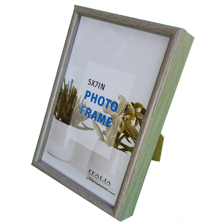 Italia PVC Picture Frame Wayfair